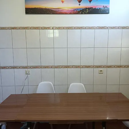 Palm Comfort Villa *