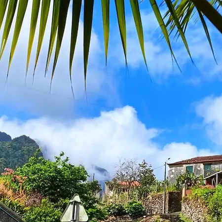 Palm Comfort Villa