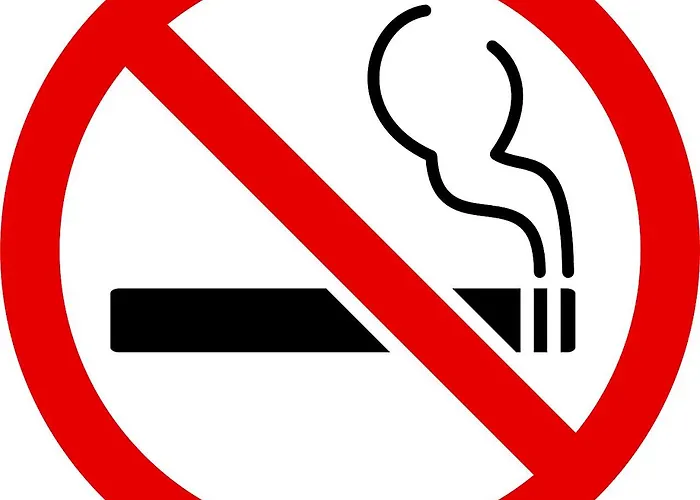 Palm Comfort * Sao Vicente (Madeira)