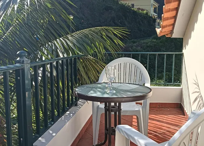 Palm Comfort Willa São Vicente